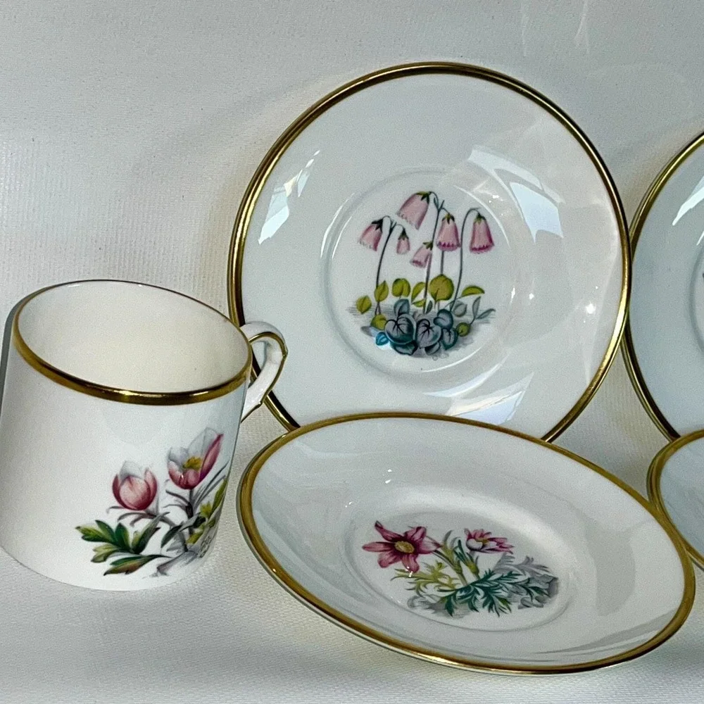 2 Royal Worcester Demitasse Cups & 4 Saucers Alpine Flower Wildflower Bone China